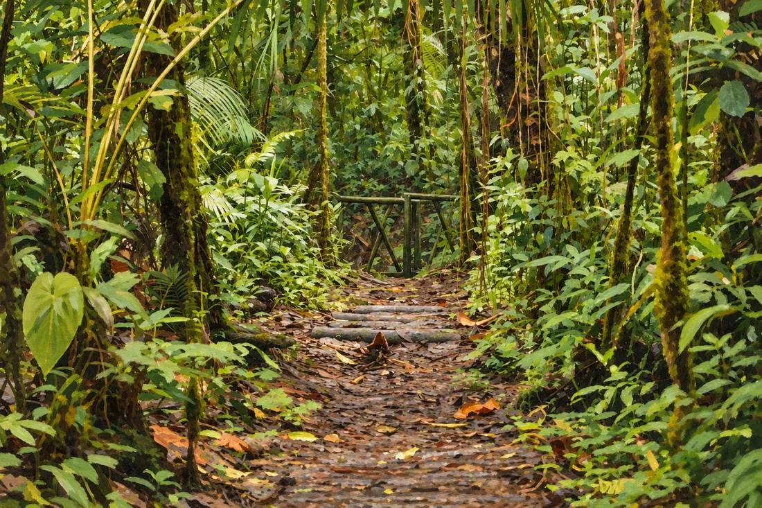 Santuario de Fauna y Flora Ot&uacute;n Quimbaya